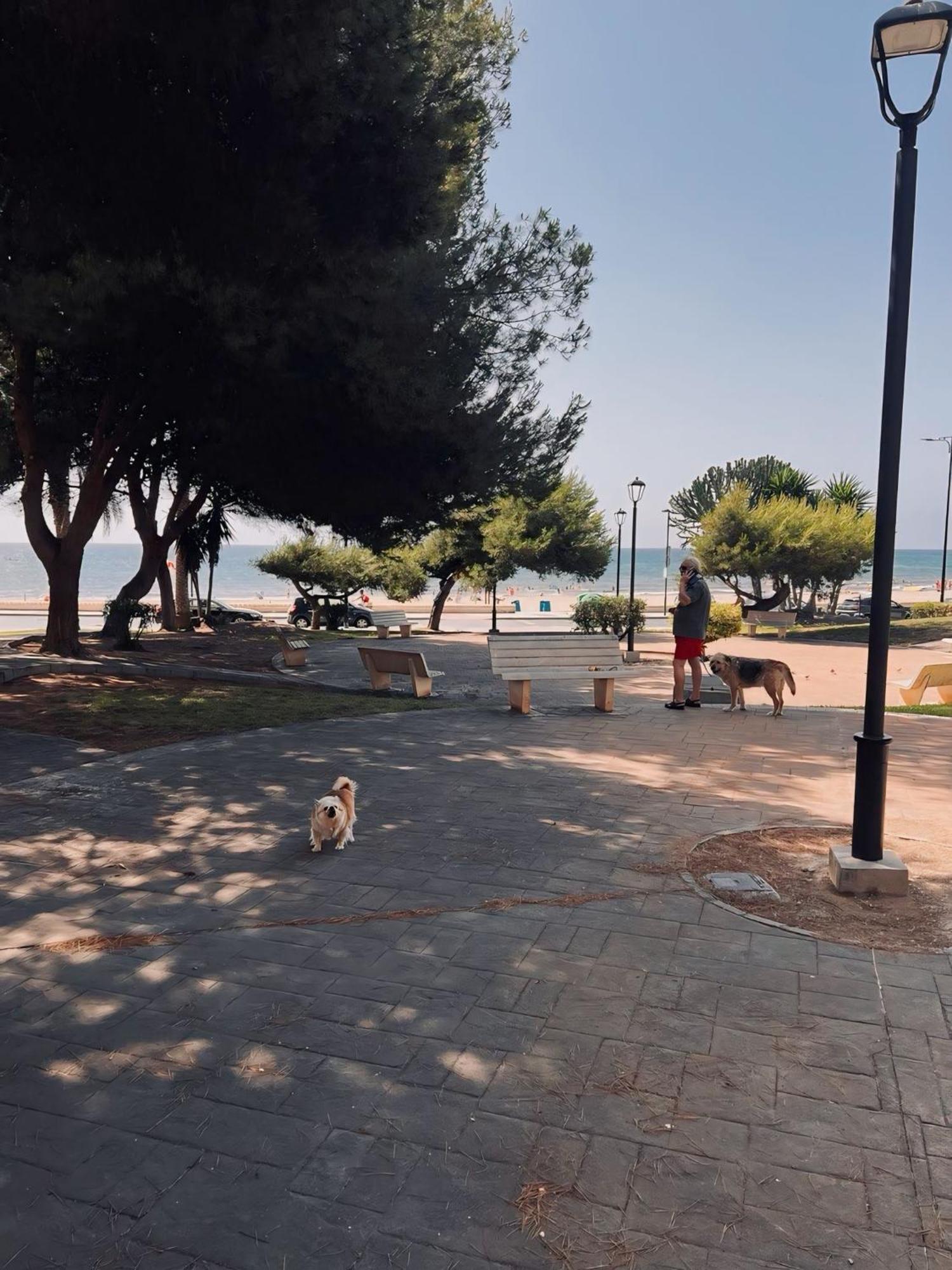 Apartmán 50 Pasos Hacia El Mar El Campello Exteriér fotografie